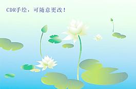 荷花圖片