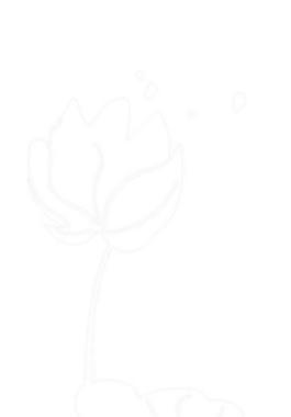 荷花圖片