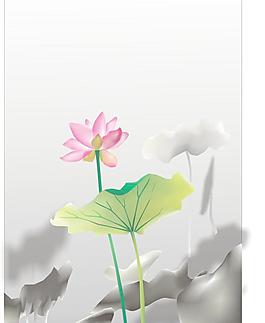 荷花圖片
