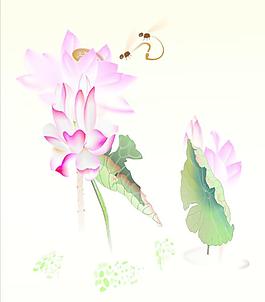 荷花圖片