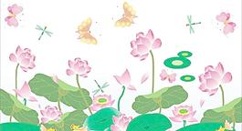 荷花圖片