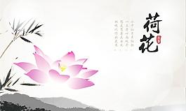 荷花圖片