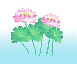 荷花圖片