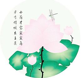 荷花圖片
