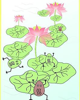 荷花圖片
