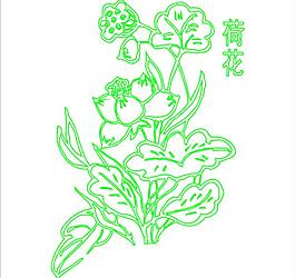 荷花圖片