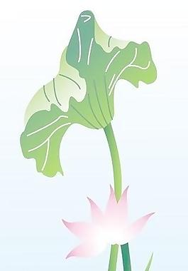 荷花圖片