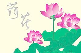 荷花圖片