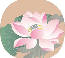 荷花圖片