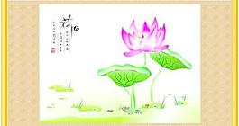 荷花圖片
