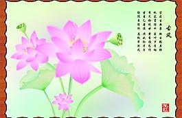 荷花圖片