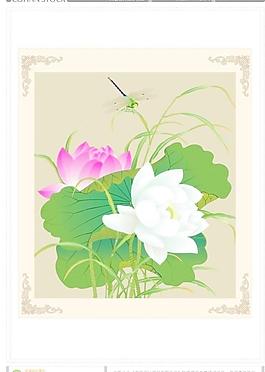 荷花圖片