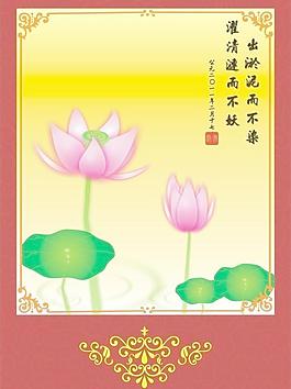 荷花圖片
