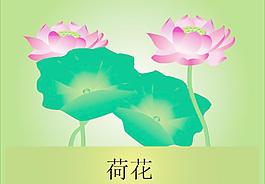 荷花圖片