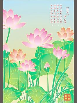 荷花圖片