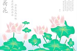 荷花圖片
