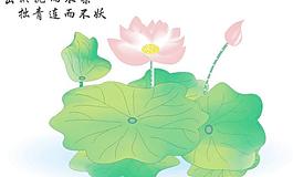 荷花图片