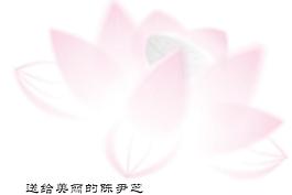 荷花圖片