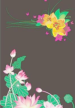 荷花圖片