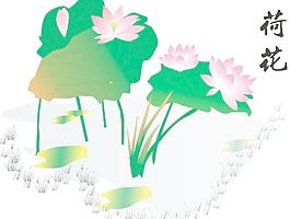 荷花圖片