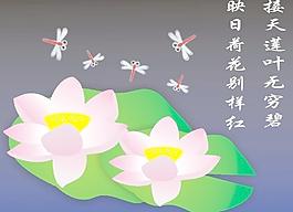 荷花圖片
