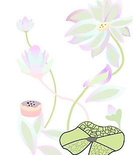 荷花圖片
