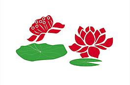 荷花圖片