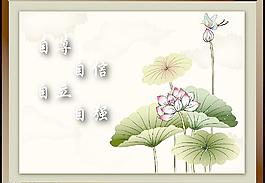 荷花图片