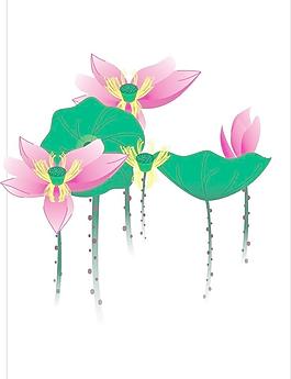 荷花圖片