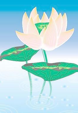 荷花圖片