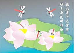 荷花圖片