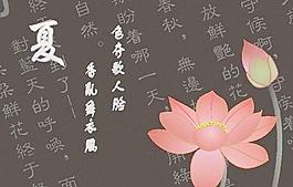 荷花圖片