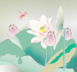 荷花圖片