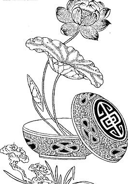 荷花图片