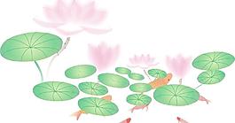荷花圖片