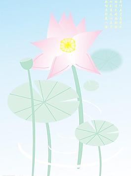 荷花图片