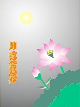 荷花图片