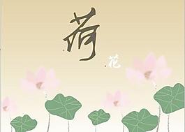 荷花圖片