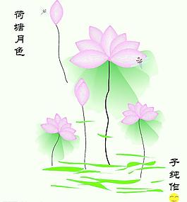 荷花圖片