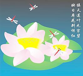 荷花圖片