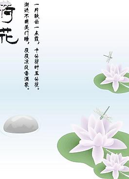 荷花圖片