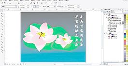 荷花圖片