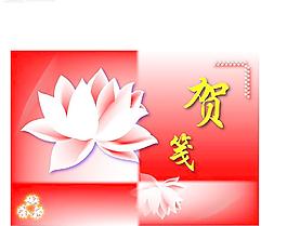荷花圖片