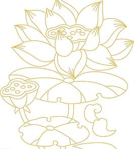 荷花圖片