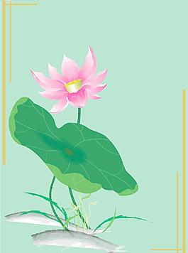 荷花圖片