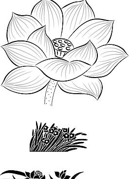 荷花圖片