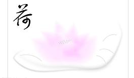 荷花圖片