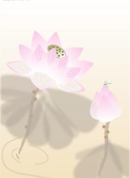 荷花圖片