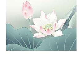 荷花ai圖片