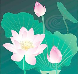 荷花圖圖片